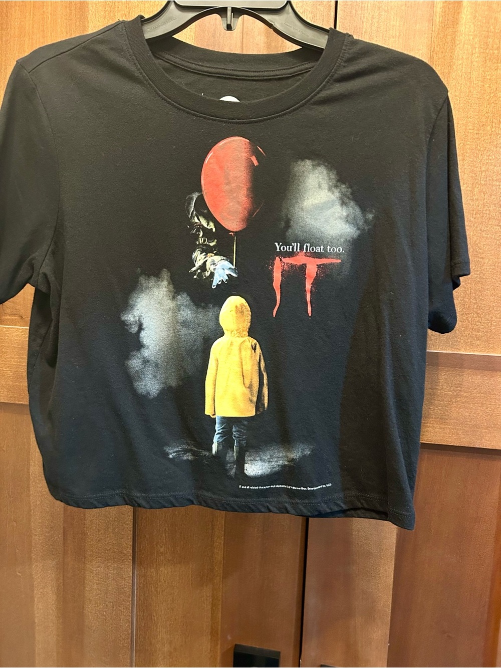 Pennywise cropped tshirt size large